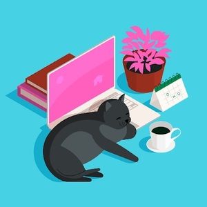 Meet your Posher, Kaeleigh